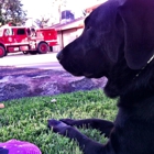 Riverside County Fire Department-Station 25