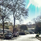 Peachtree Park Apartments