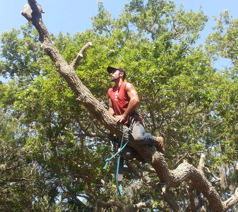 Minor's Tree Service - Bradenton, FL