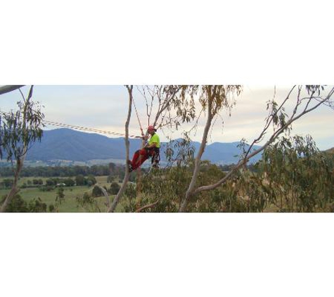 Arboressence - Wangaratta, VIC