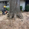 Vickers Tree Service gallery