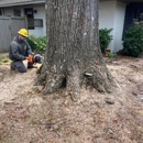 Vickers Tree Service - Landscape Contractors
