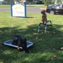 KC Dawgz Dog Training Academy