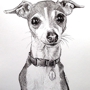 Animal Art and Pet Portraits by Stephanie Grimes