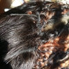 Tina's African Hair Braiding gallery