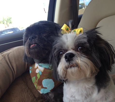 Upscale Pet Grooming & Boarding - North Myrtle Beach, SC