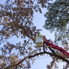 Kelley Tree Service