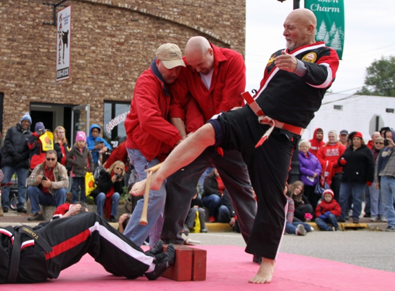 American Martial Arts Inst - Cedar Springs, MI