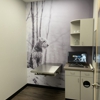 CityVet | Las Colinas gallery