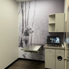 CityVet | Las Colinas