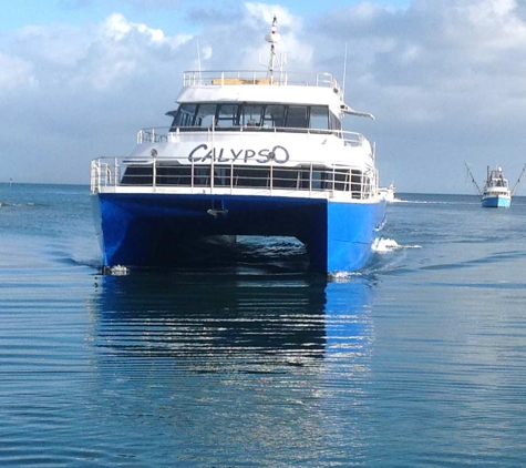 Stradbroke Flyer - Cleveland, QLD