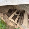 Evict A Pest Wildlife and Pest Control gallery