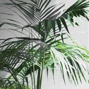 Gallery Image Number 4
