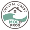 Crystal Coast Mold Pros gallery