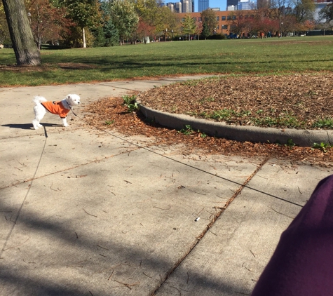 Skinner Park - Chicago, IL