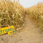 Fritz Corn Maze