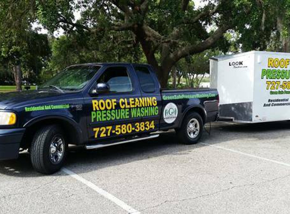 GREEN SAFE SOFT WASH PRESSURE CLEANING - holiday, FL