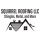 Squirrel Roofing