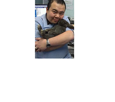 Bondi Junction Veterinary Hospital - Bondi Junction, NSW
