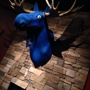 Blue Moose