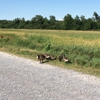 Montezuma National Wildlife gallery