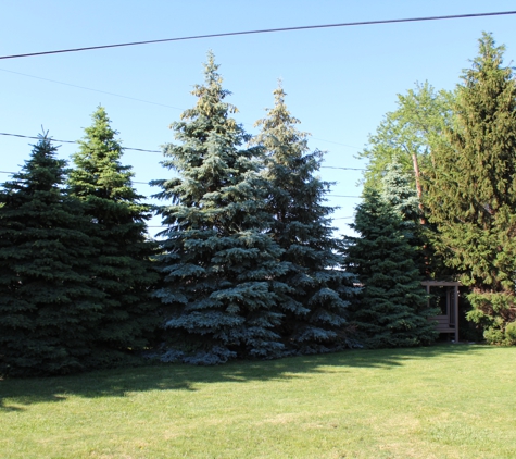 Extreme Tree Service - Swanton, OH. Before