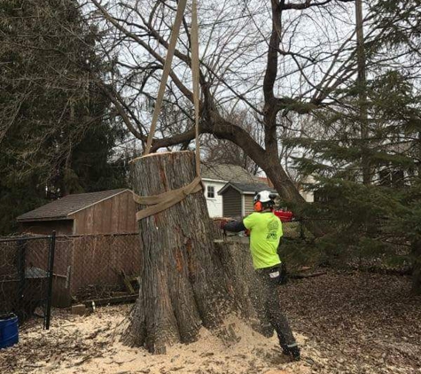 ForeverGreen Arboriculture - Lindstrom, MN