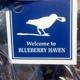 Blueberry Haven