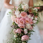 Isn't She Lovely Wedding Boutique