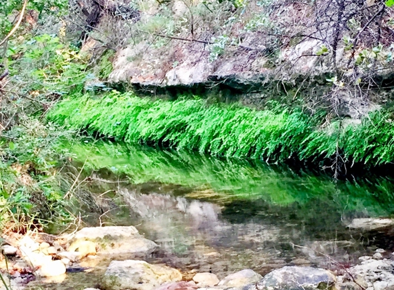 Wild Basin Wilderness Preserve - Austin, TX