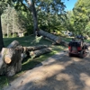 Holland Tree Services gallery