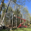 Zach's Tree Care