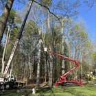 Zach's Tree Care