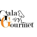 Gala of Gourmet - Caterers