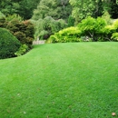 Executive Lawn Care - Gardeners