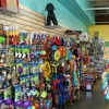 BlackPaw gallery