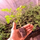 Bella's Farm Supply