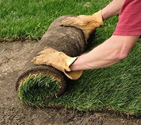 Cal Lawn Sod - Citrus Heights, CA