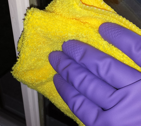 Cleaning Fairy - Northville, MI. Door Glass Cleaned