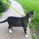 Summit Veterinary and Urgent Care - Veterinarians