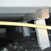 Gallery Image Number 4