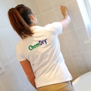 Delta Chem-Dry Carpet & Upholstery Cleaning - Carpet & Rug Cleaning Equipment & Supplies