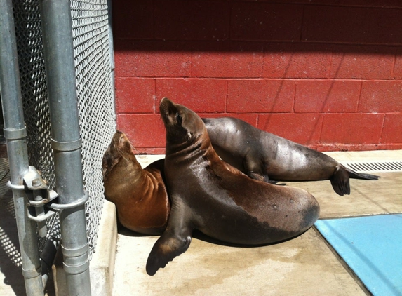 Friends of the Sea Lion Inc - Laguna Beach, CA
