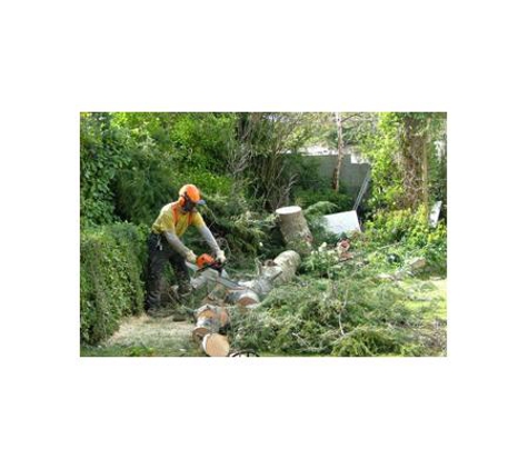 AAA Cleaning & Maintenance - Gilderoy, VIC