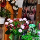 Country Hearth Flower & Gift Shop