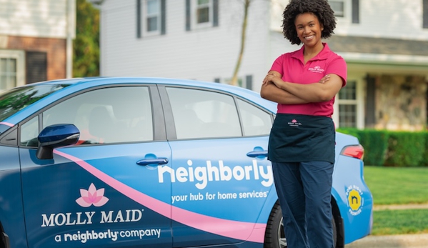 Molly Maid of Northern Lake County - Grayslake, IL