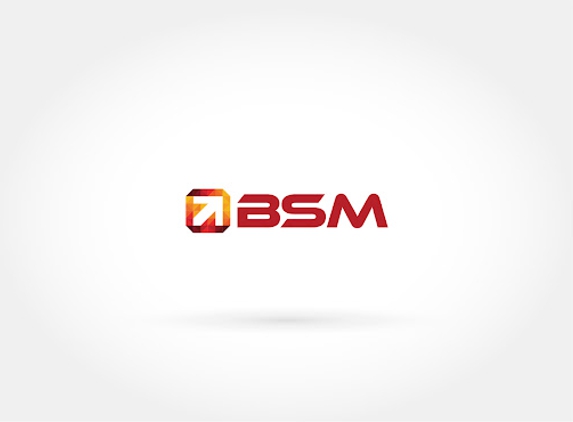 BSM-A Los Angeles SEO Company - Los Angeles, CA