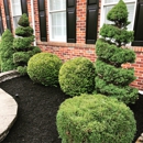 We Just Cut Landscaping - Landscaping & Lawn Services