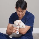 CityVet | Steiner Ranch - Pet Services