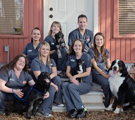 Longview Animal Hospital - Longview, TX